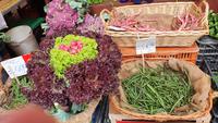 lila Blumenkohl aus Catania &ndash; &copy; Marlies Thrum (Eberhardt TRAVEL)
