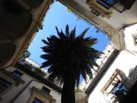 Palermo - Sizilien &ndash; &copy; Sabine Letzybyll (Eberhardt TRAVEL)