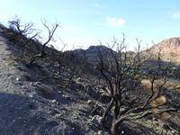 Vulcano &ndash; &copy; Sabine Letzybyll (Eberhardt TRAVEL)