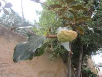 Wer kennt's? &ndash; &copy; Anne Sturm (Eberhardt TRAVEL)