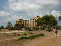 Selinunte &ndash; &copy; Linda Hartge (Eberhardt TRAVEL)