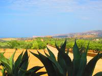 Blick auf den Concordiatempel &ndash; &copy; Madlen Lippe (Eberhardt TRAVEL)