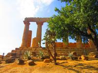 Im Tal der Tempel &ndash; &copy; Madlen Lippe (Eberhardt TRAVEL)