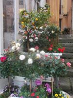 DSCN5499.JPG &ndash; &copy; Kerstin Veit (Eberhardt TRAVEL)