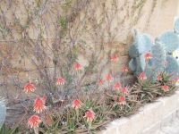 DSCN5529.JPG &ndash; &copy; Kerstin Veit (Eberhardt TRAVEL)