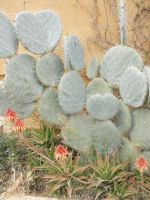 DSCN5530.JPG &ndash; &copy; Kerstin Veit (Eberhardt TRAVEL)