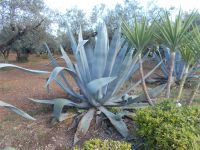 DSCN5534.JPG &ndash; &copy; Kerstin Veit (Eberhardt TRAVEL)