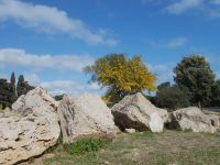 DSCN5562.JPG  Selinunte &ndash; &copy; Kerstin Veit (Eberhardt TRAVEL)