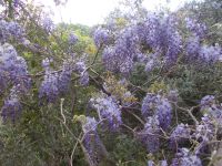DSCN5633.JPG &ndash; &copy; Kerstin Veit (Eberhardt TRAVEL)