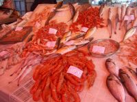 DSCN5687.JPG  Fischmarkt &ndash; &copy; Kerstin Veit (Eberhardt TRAVEL)