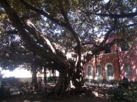 DSCN5715.JPG &ndash; &copy; Kerstin Veit (Eberhardt TRAVEL)