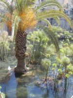 DSCN5719.JPG &ndash; &copy; Kerstin Veit (Eberhardt TRAVEL)