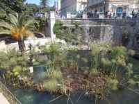 DSCN5720.JPG   Fonte Aretusa &ndash; &copy; Kerstin Veit (Eberhardt TRAVEL)
