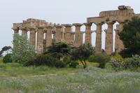Selinunte &ndash; &copy; Sandra Winkler (Eberhardt TRAVEL)