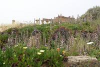Selinunt - Akropolis &ndash; &copy; Petra Sauer (Eberhardt TRAVEL)