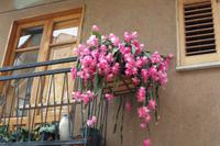 Castelbuono &ndash; &copy; Petra Sauer (Eberhardt TRAVEL)