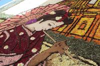 Noto - Blumenfest &ndash; &copy; Petra Sauer (Eberhardt TRAVEL)