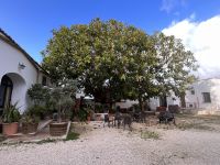 Casa di Latomie (3) &ndash; &copy; Thomas Krupp (Eberhardt TRAVEL)