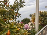Hotel Olimpio (3) &ndash; &copy; Thomas Krupp (Eberhardt TRAVEL)