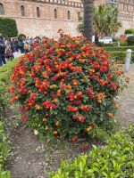 Sightseeing in Palermo (24) &ndash; &copy; Thomas Krupp (Eberhardt TRAVEL)