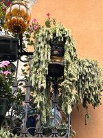 taormina (5) &ndash; &copy; Thomas Krupp (Eberhardt TRAVEL)