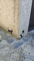 Katze und Maus &ndash; &copy; Merle Decker (Eberhardt TRAVEL)