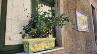 Montalbano Elicona (2) &ndash; &copy; Merle Decker (Eberhardt TRAVEL)