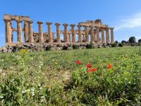 Sizilien. Selinunte &ndash; &copy; Heike Jack (Eberhardt TRAVEL)