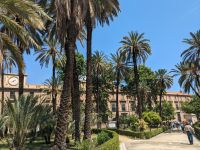 Palmen in Palermo &ndash; &copy; Günter Thomas Menzel (Eberhardt TRAVEL)