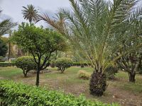 Palermo - Park auf dem Weg zur Innenstadt(15).jpg &ndash; &copy; Steffi Lambrecht (Eberhardt TRAVEL)