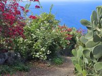 Insel Lipari- Pflanzenwelt(28).jpg &ndash; &copy; Steffi Lambrecht (Eberhardt TRAVEL)