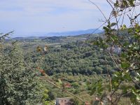 Auf dem Weg nach Montalbano (2).jpg &ndash; &copy; Steffi Lambrecht (Eberhardt TRAVEL)