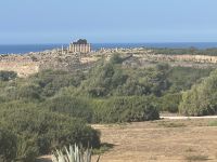 Selinunte &ndash; &copy; Torsten Kettmann (Eberhardt TRAVEL)