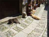 &copy; Patrick Fritzsche (Eberhardt TRAVEL)