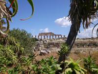 Selinunte &ndash; &copy; Fanny Grabowski (Eberhardt TRAVEL)