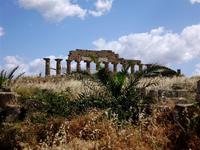 Selinunte &ndash; &copy; Fanny Grabowski (Eberhardt TRAVEL)