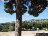 Blick auf Agrigent &ndash; &copy; Barbara Werrmann (Eberhardt TRAVEL)