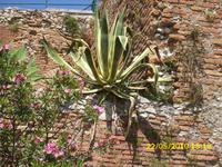 &copy; Gabriele Schwarze (Eberhardt TRAVEL)