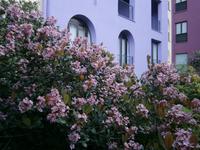 Hotel Santa Tecla &ndash; &copy; Petra Sauer (Eberhardt TRAVEL)