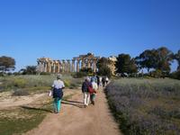 Selinunte &ndash; &copy; Petra Sauer (Eberhardt TRAVEL)
