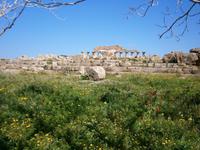 Selinunte &ndash; &copy; Petra Sauer (Eberhardt TRAVEL)