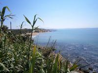 Selinunte &ndash; &copy; Petra Sauer (Eberhardt TRAVEL)