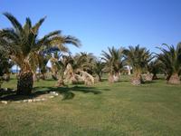 Unser Hotel Fiesta Athenee Campofelice &ndash; &copy; Petra Sauer (Eberhardt TRAVEL)