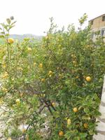 DSCN2566 &ndash; &copy; Heike Meinhold (Eberhardt TRAVEL)