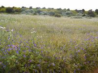 DSCN2594 &ndash; &copy; Heike Meinhold (Eberhardt TRAVEL)