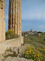 Selinunte &ndash; &copy; Heike Meinhold (Eberhardt TRAVEL)