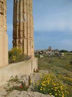 Selinunte &ndash; &copy; Heike Meinhold (Eberhardt TRAVEL)