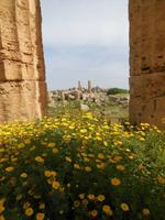 Selinunte &ndash; &copy; Heike Meinhold (Eberhardt TRAVEL)