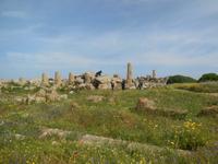 Selinunte &ndash; &copy; Heike Meinhold (Eberhardt TRAVEL)