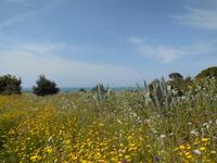 DSCN2615 &ndash; &copy; Heike Meinhold (Eberhardt TRAVEL)